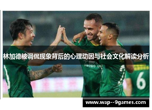 林加德被调侃现象背后的心理动因与社会文化解读分析